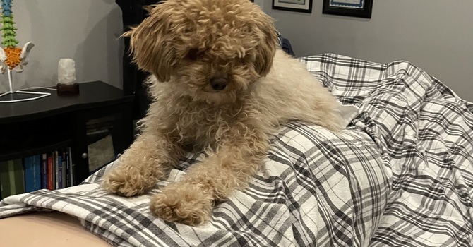 Massage Therapy 2nd Year Student