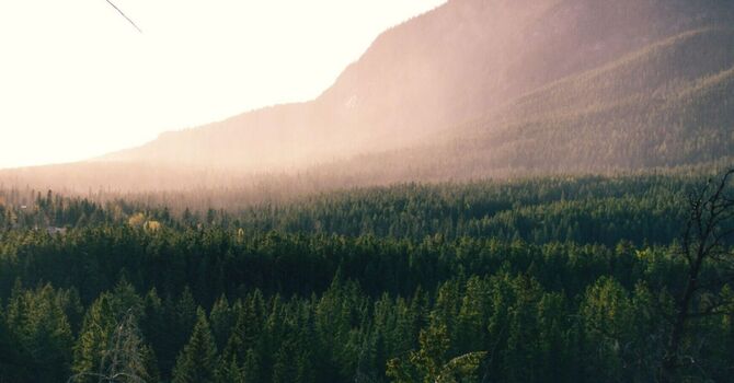 Compression Sock Fitting